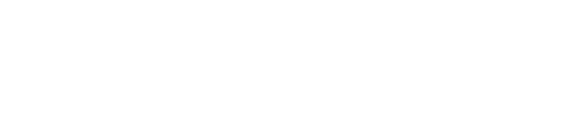 Checkpoint Logo